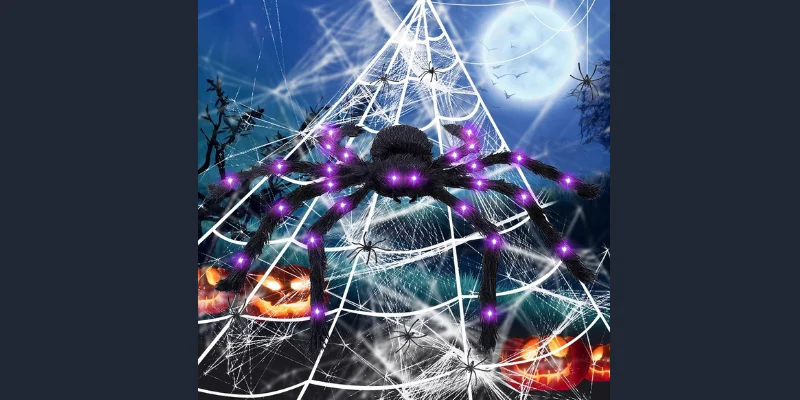 Spider Webs and Giant Spiders